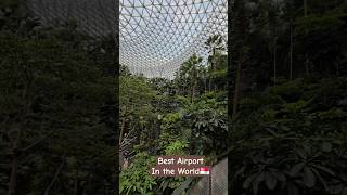 Best Airport In the World - #changiairport #airport #singapore #singaporeairport #mustvisit