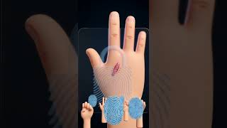 How Does a Fingerprint Scanner Work?