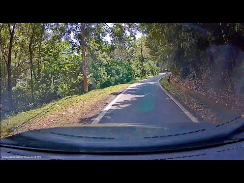 Driving through the forest up the hill to Màn Yún 漫雲 (Reservations Only) in Seremban