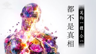 293：你還在認為「萬物一體、合一」嗎？修行路上、靈性圈許多人常說自己是整體的一部分、分裂出來的碎片，這些都還不是真相！只要還有「我與它」的概念，就還沒契入真正的實相！｜雙生紫焰