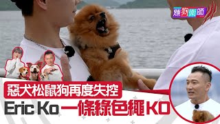 屈臣氏 Wats Petmacy 寵物藥妝呈獻：煉狗術師III｜惡犬松鼠狗再度失控 Eric Ko一條綠色繩KO！｜Eric Ko｜鄺芷凡｜松鼠狗｜第3集｜HOY｜HOYTV