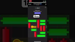 hamster kombat mini game 18 september