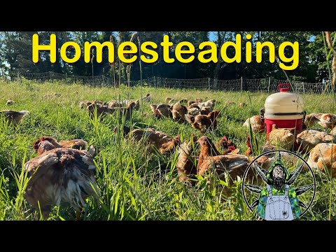 Homesteading: Lessons Learned the Hard Way