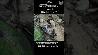 本編動画はこちら▶ 進みます´∀｀《説明欄へ》Hike in Japan