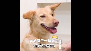 修毛＋磨指甲一次搞定！毛孩不怕剪剪啦🐾✨ #奧本 #pets