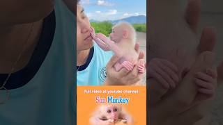 The baby monkey is crying #monkeyson #monkeysmart #babymonkey #monkey #animals