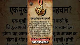 एक मुखी रुद्राक्ष की पहचान? #shorts #rudraksha #divyashastra