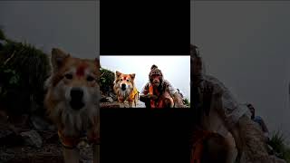 monkey #love🥰 monkey sounds,  sounds, monkey sounds, monkey sounds, monkey sounds,  #monkeysmati