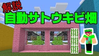 [マイクラ]  自動サトウキビ畑をゆるーく解説してみた。