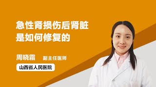 急性肾损伤后肾脏是如何修复的 周晓霜 山西省人民医院
