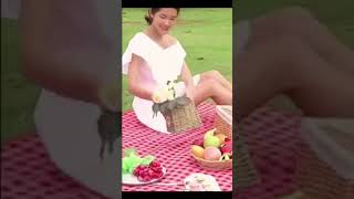 手提便攜加大防潮野餐墊(8315)