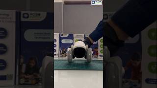 Unboxing the Future: New Petbot Loona in Roboarmy's family! 🤖 #Petbot #TechUnboxing #stemtoy #loona