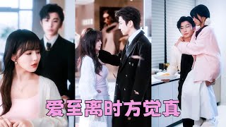 【FULL】盡職盡責當了3年替身，他的白月光歸來那天沈瑤籤了離婚協議利落走人，然而一向冷靜自持的傅總卻眼角通紅呼喚她的乳名求她「瑤瑤，這3年你有沒有一絲絲愛過我！」