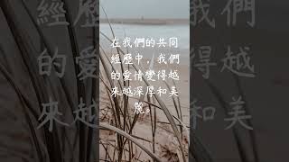 每日一句愛情語錄 浪漫愛情語錄分享 心動的愛情句子 愛的名言 EP 27 #shorts #愛情語錄 #自我治癒 #傷感語錄 #愛的名言
