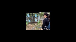 探秘印尼猫屎咖啡的神秘产地
