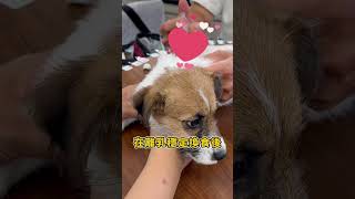 【門市活動】專業獸醫師親自到店! 毛孩健康檢查全紀錄❤️