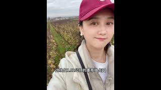 来勃艮第酒庄品酒 该怎么玩