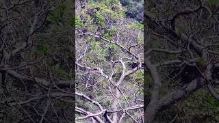 Beautiful Nature