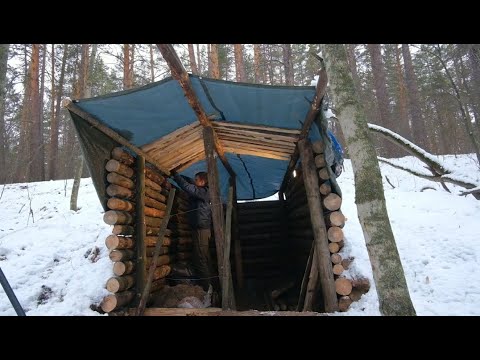 野生森林继续建造庇护所在建屋顶和后墙用土填埋防空洞
