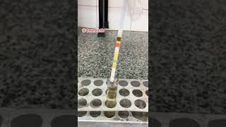 We need to verify the presence of #protein in the #urine.       #labscience #urine #mls #phd