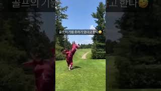 골프의 기원은 쥬라기 였다!!ㅋㅋ #골프 #골프스윙 #골프영상 #golf #golfer