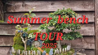 Summer bench tour of my bonsai trees.