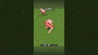 WTF...🫢 🤭 🤫 #minecraft #rofl #майнкрафт #memes