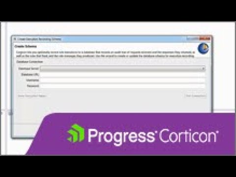 Corticon Recording rule executions