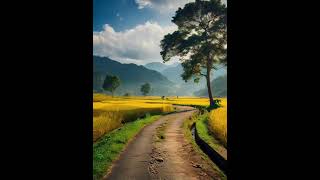 imagination have no limit #aimotion #livewallpaper #subscribe