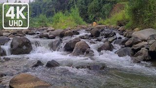 Flowing Water in Nature | Peaceful River Ambience for Deep Relaxation | 4K