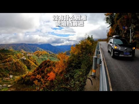 床车自驾游在神农架遭遇大雾但 仍然继续前进