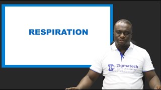 BIOLOGY | CELLULAR RESPIRATION | EXAM GUIDE | LEARNING HUB | ZIGMATECH CONSULT LIMITED | EXAMGUIDE