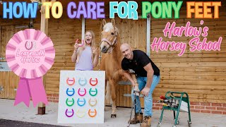 Hoof Care with Harlow's Horsey School! Meet the Farrier!