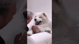 The stupid puppy is happy just to be touched