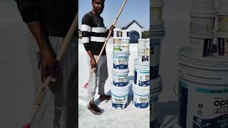 Birla opus Damp proof (Alldry Wall N Roof) 10 साल की वारंटी के साथ 💯⚠️⛈️☔#asianpaints #waterproofing
