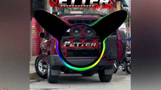 ABEJITA🐝DOBLE TONO OFENSIVO⚠️DJ PETTER CAR AUDIO RONCANDO DURO 2K24 🔊🔊🔊