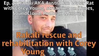 Ep. 42 Rakali Rescue and Rehabilitation with Corey Young