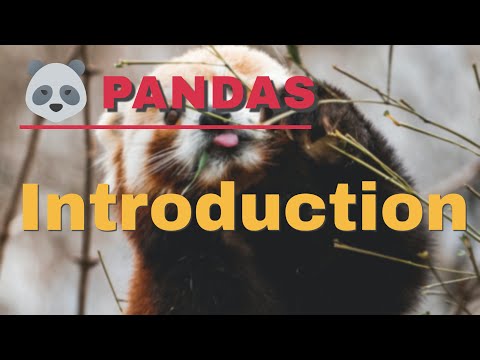 pandas python tutorial | Why and How to Use Pandas in Python