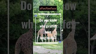 #Shorts #Fun #fyp #funny #funnyvideo #animals #art  #fun #fact #funnypost #hilariousjokes