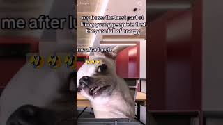 🤣 #fypyoutube #funnyvideo #youtubeshorts
