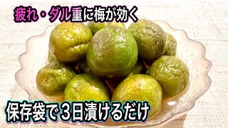 青梅の簡単おやつ！保存袋で3日で作れる！カリカリ爽やか〜疲れ知らずに【簡単！梅仕事】