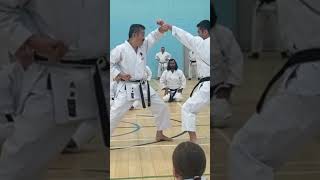 Ohta Sensei Hip Vibration #wkf #karate #mma #budo #ippon #jka #jkakarate #karateathome #ufc #kumite