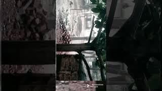 M Sand is at #rain #msand #johndeere #youtube #youtubeshorts