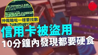 一線搜查｜信用卡被盜用 10分鐘內發現都要硬食 不服判決可以俾600美金仲裁 輸咗一樣要找數｜736集 ｜有線新聞 黃愷怡 利穎怡｜ #一線搜查 ｜HOYTV 77台 #hoytv