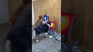 Angel Like Puppy #animals #love #shorts