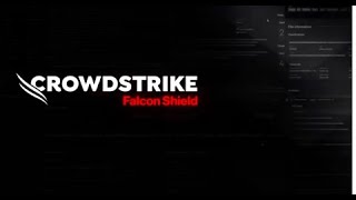 See Falcon Shield in Action