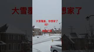 放松系列：多伦多大雪覆盖，你想家了吗？#canadaontheroad #taylorswifttoronto