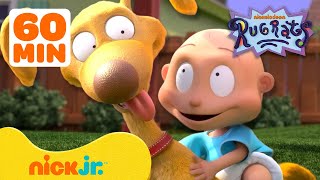 Rugrats Best Pet Rescues! 🐕 w/ Spike, Chuckie, Phil & Lil! | 1 Hour Compilation | Nick Jr.