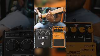 BOSS DS-2 or PROCO RAT 2 // What's your FAVORITE DISTORTION PEDAL? #guitar #distortionpedal #nirvana