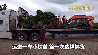 身为北美卡车司机 你永远不知道下一次拉什么 | 第一次捆绑一车小树苗